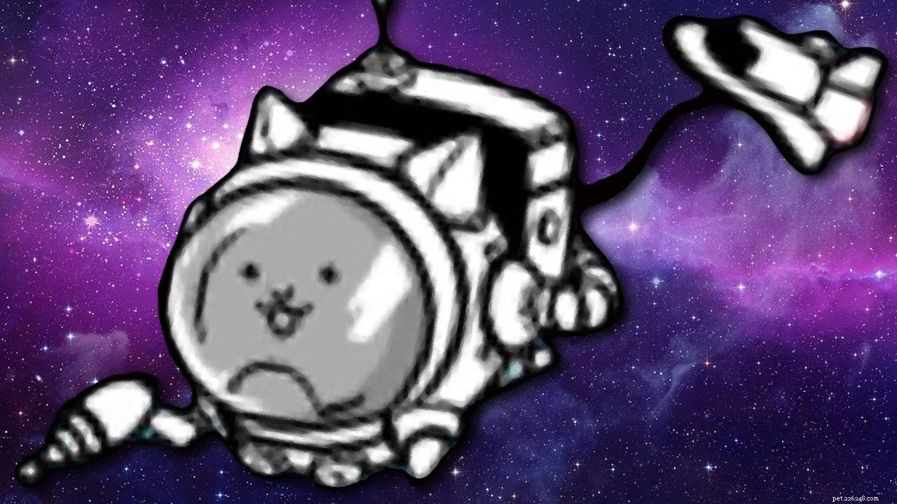 Космический кот:редкий кот из Battle Cats