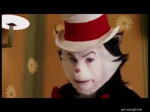 Film Kočka v klobouku:Zábava pro celou rodinu