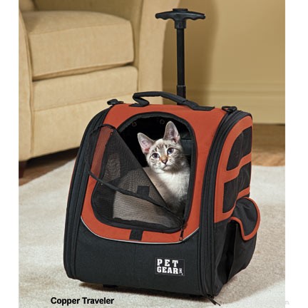 A melhor mochila para gatos para passear com seu gato
