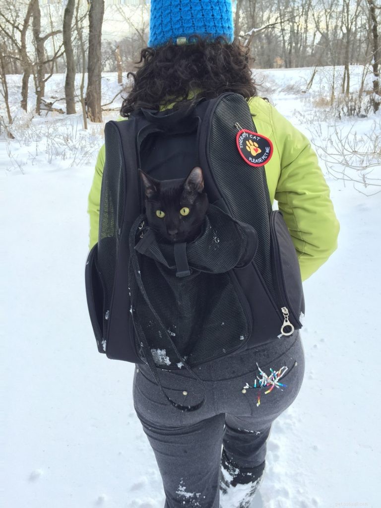 A melhor mochila para gatos para passear com seu gato