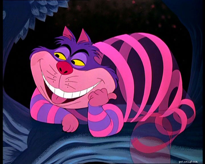 Lewis Carrol의  Alice in Wonderland 의 Cheshire Cat 인용