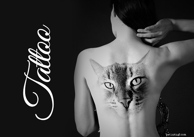 Kočičí tetování:Sport nejúžasnější kočičí tetování všech dob
