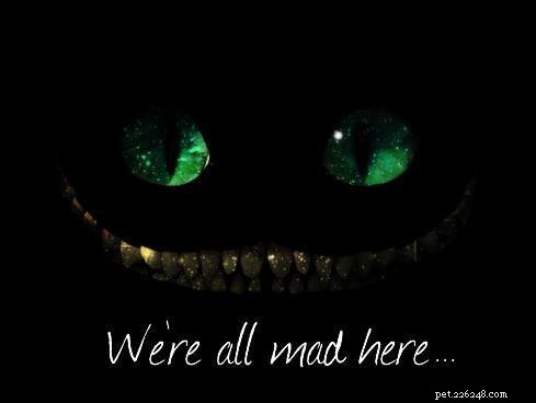 Tudo por trás do sorriso do gato Cheshire