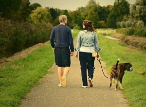 Hoe leer je een hond lopen aan een losse lijn