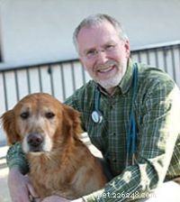 27 veterinari e professionisti degli animali condividono le migliori razze di cani per bambini
