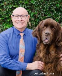 27 veterinärer och djurproffs delar de bästa hundraserna för barn