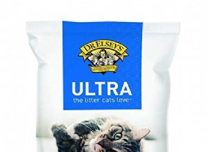 The Best Cat Litters（2022 Reviews）