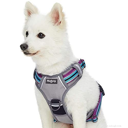Le migliori imbracature per cani per smettere di tirare (Recensioni 2022)
