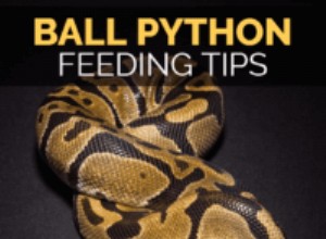 Feeding Ball Pythons