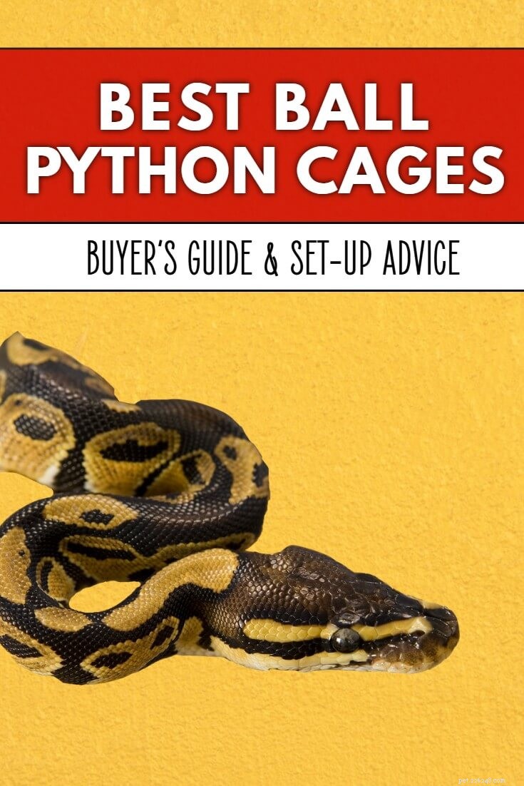 Nejlepší klece a ohrady pro Ball Python – typy a nastavení