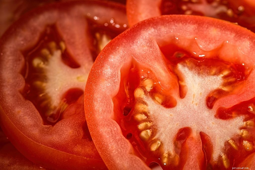 I draghi barbuti possono mangiare i pomodori?