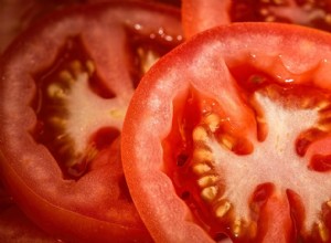 Kunnen baardagamen tomaten eten?