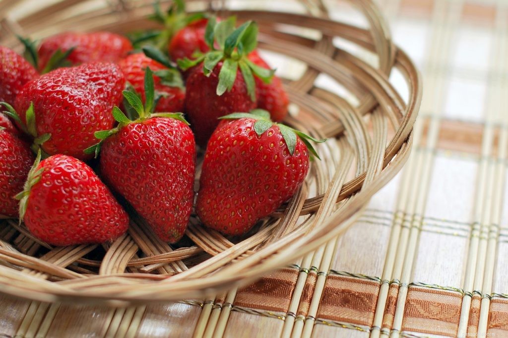 Kunnen baardagamen aardbeien eten?