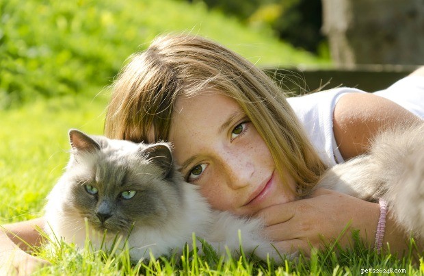 7 races de chats parfaites avec les enfants