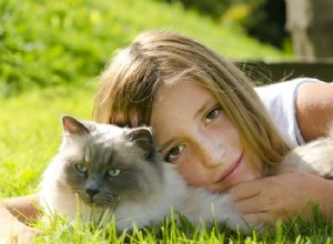 7 kattenrassen die geweldig zijn voor kinderen