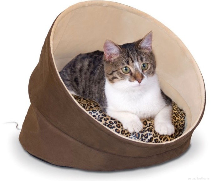Waarom uw kat deze herfst een verwarmd bed nodig heeft