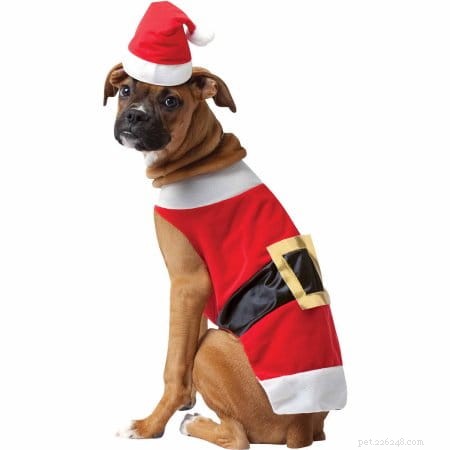 Freshpet Holiday Presentguide:7 presentidéer för din hund eller katt
