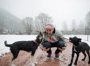 Большое открытие Sochi Pups