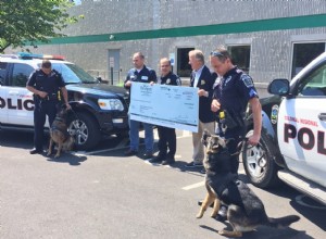 Novos Caminhões K9 para o Departamento de Polícia Regional Colonial