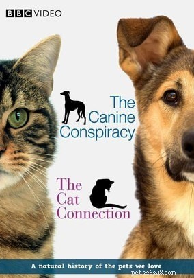 Missa inte dessa husdjursdokumentärer på Netflix
