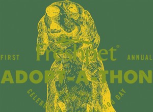 Comemore o Dia Nacional do Cão com o primeiro ADOPT-A-THON anual