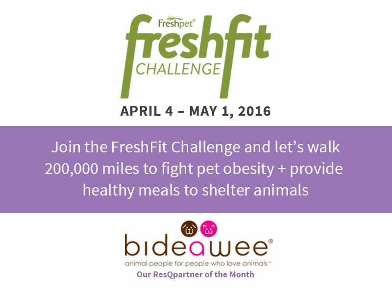Help ons 200.000 mijl te lopen voor obesitas bij huisdieren in de FreshFit Challenge!