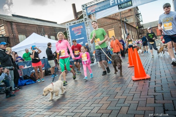 Träffa oss på The Runners World Dog Run!