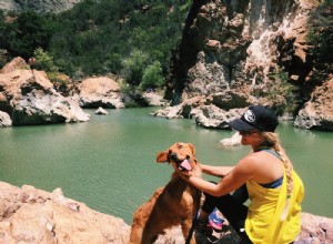 O que devo procurar ao adotar um cachorro?