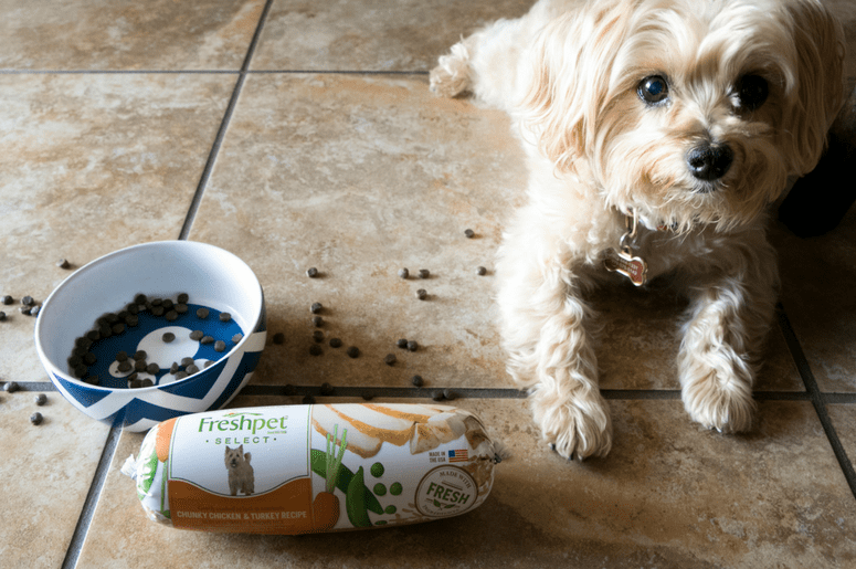 Börja ett fräschare, hälsosammare liv med vår 30-dagars måltidsplan för fräscha med ditt husdjur