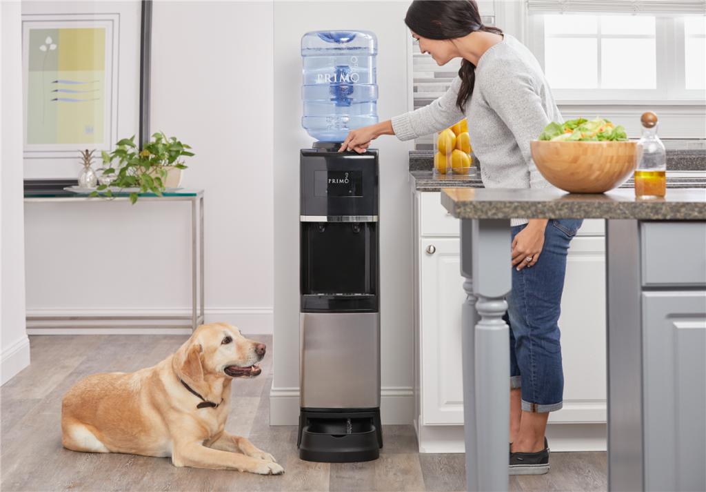 Blijft uw huisdier goed gehydrateerd tijdens de zomer?