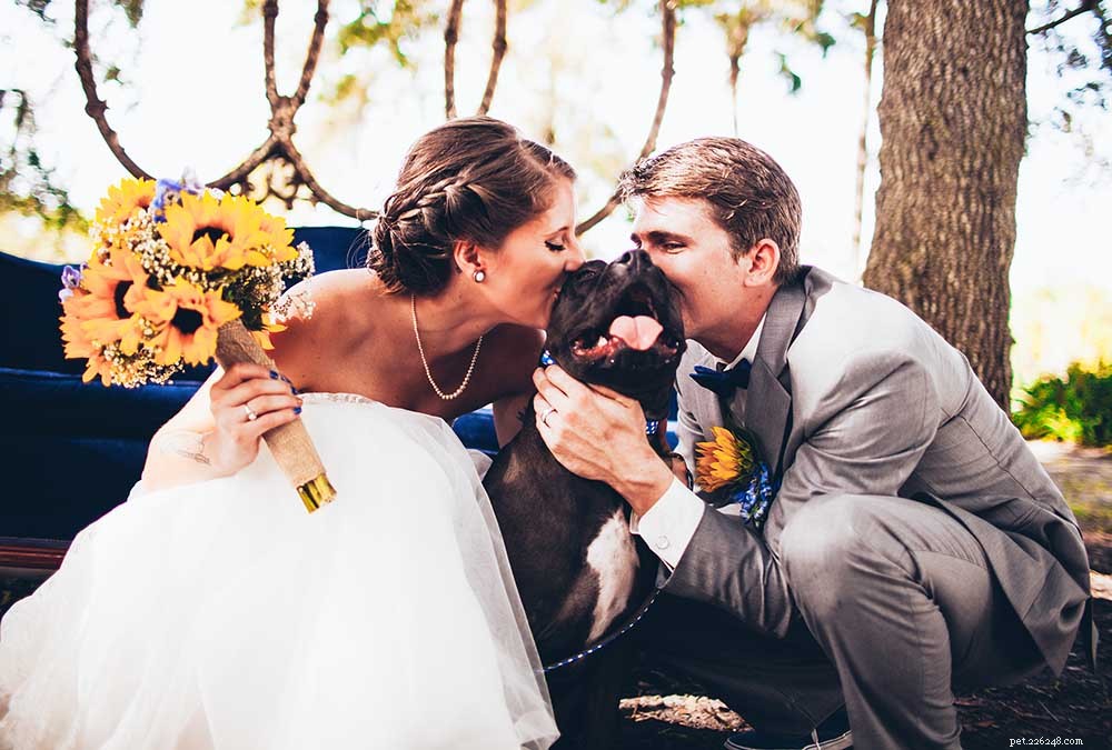 Cinq manières adorables dont votre animal de compagnie peut faire partie de votre mariage