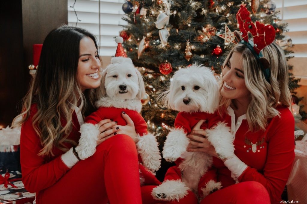 5 праздничных нарядов и пижам, которые можно носить с домашними животными в декабре