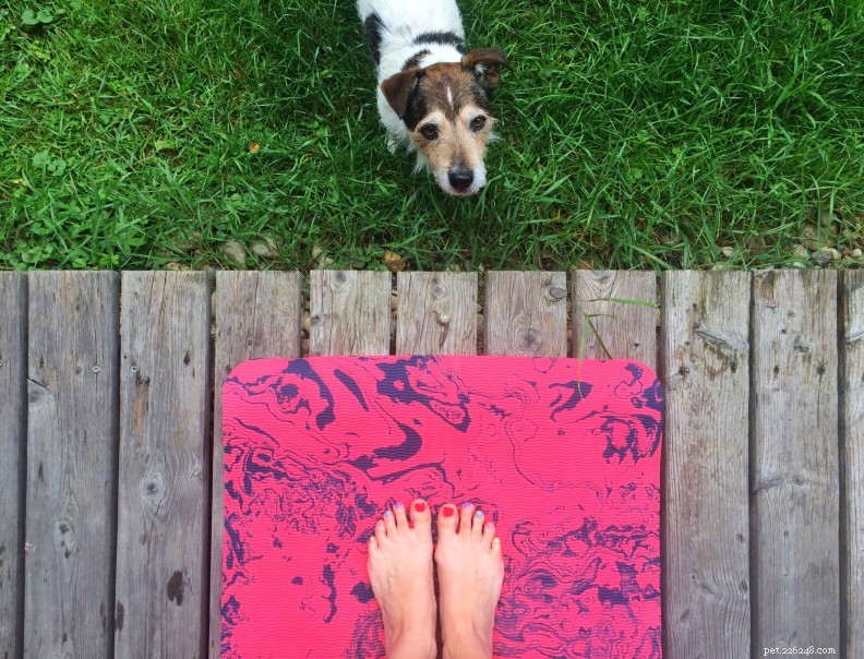 Je hebt gehoord van yoga - maar hoe zit het met Doga?