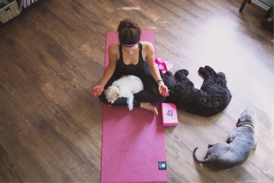 Je hebt gehoord van yoga - maar hoe zit het met Doga?