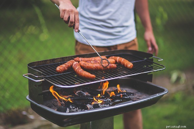 BBQ Dos &Donts With Your Pet