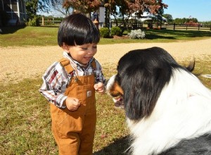 Dicas para a família:como ajudar cães e crianças a coexistirem pacificamente