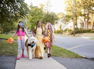 Preparação de doces ou travessuras:o chocolate é realmente ruim para o meu cachorro?