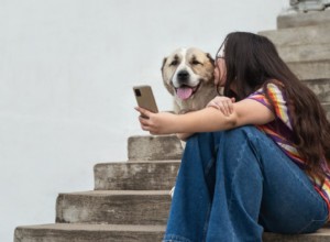 Nossas contas favoritas do TikTok para animais de estimação a serem seguidas