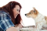 専門家のアドバイス：シニア犬のためのサプリメントと食事療法 