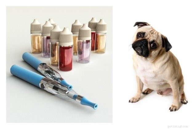 전자담배와 개:애완동물 주변에서 안전한 대안입니까?