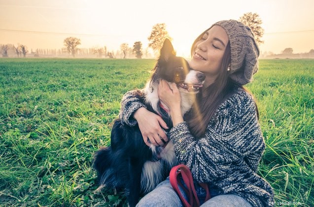 7 maneiras alegres que o cachorro nos faz mais felizes