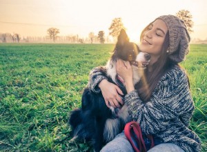 7 façons joyeuses dont le chien nous rend plus heureux