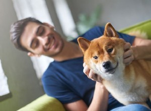 Jak provést vlastní fyzickou zkoušku u svého psa