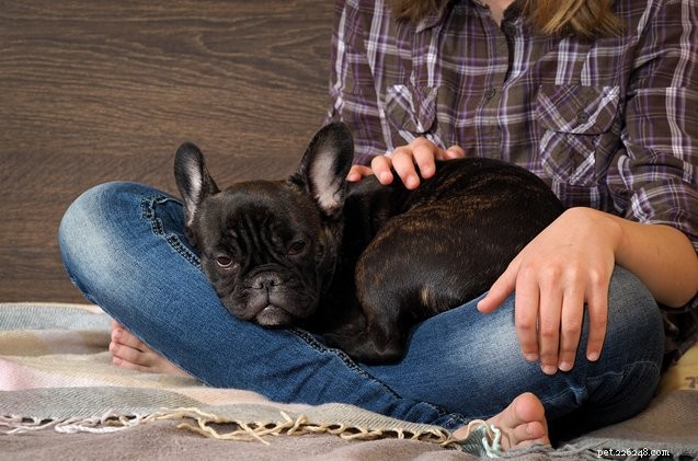 Voelen honden empathie?