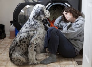 Como os cães podem ajudar a prevenir o suicídio