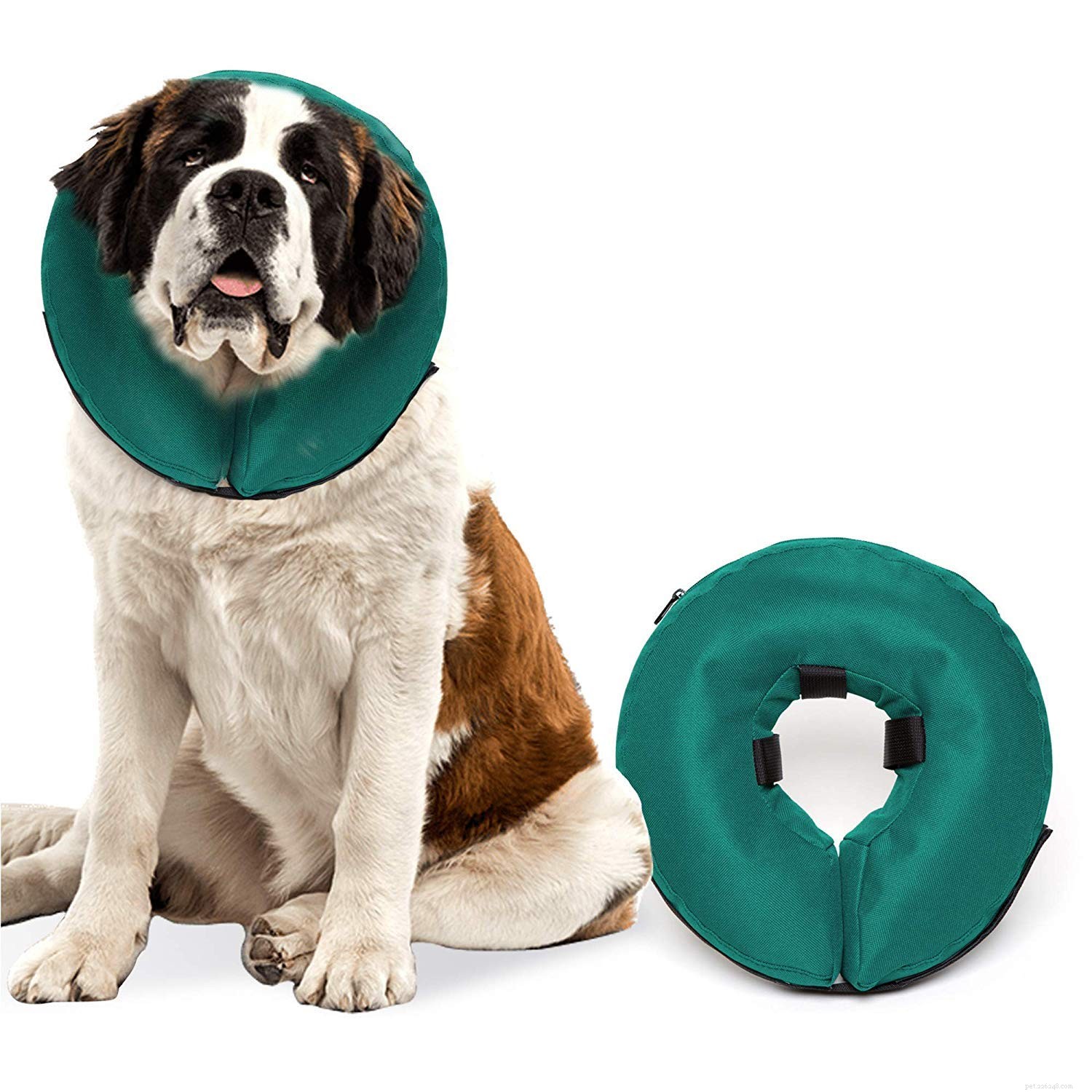 Melhores cones para cães