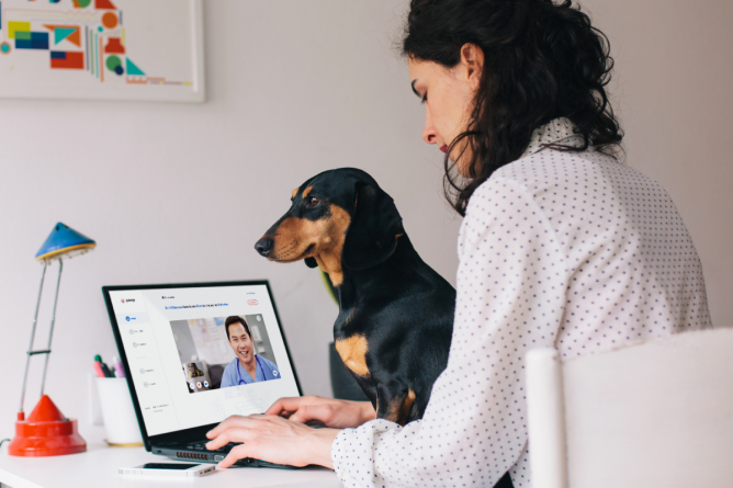 Pawps 24/7 online veterinärklinik sparar pengar på veterinärräkningar – så här fungerar det
