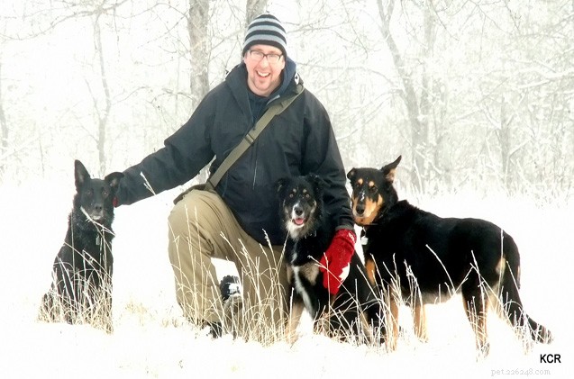 Deixe nevar:se preparando para aproveitar ao máximo o inverno com seu cachorro