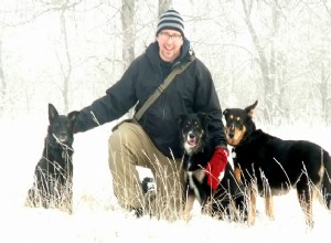 Let It Snow:Příprava na to, abyste se svým psem co nejlépe využili zimu
