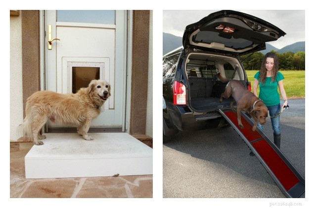 Opritten en opstapjes voor huisdieren geven stijve oudere honden een been omhoog